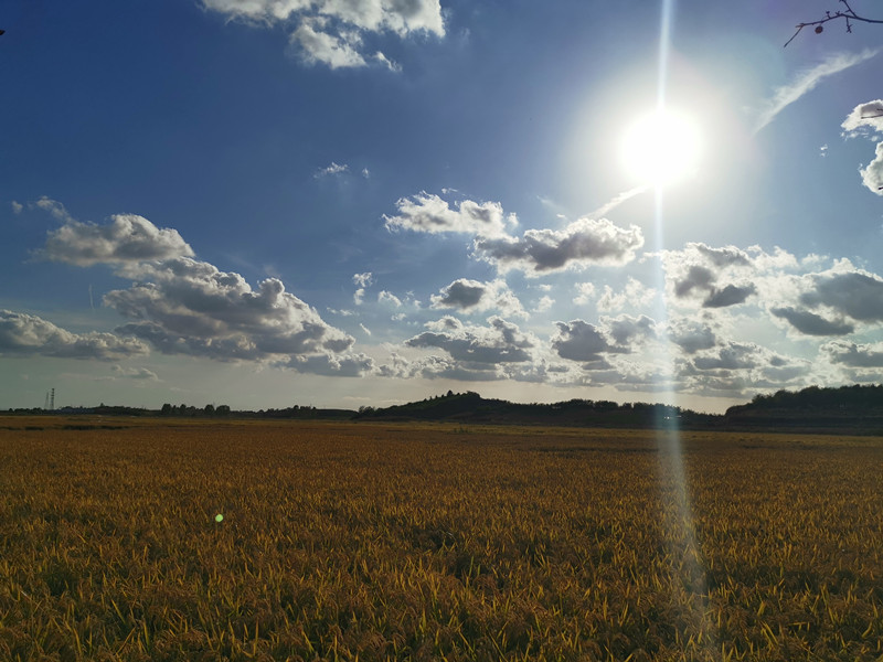 风光类 谢晓燕—田野掠影 (2)_副本.jpg