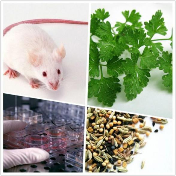 图片2.png 图片2.png