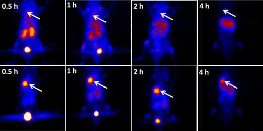 图片4.png 图片4.png